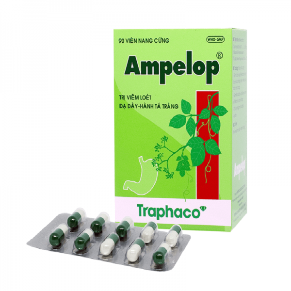 Ampelop - Điều trị viêm loét dạ dày