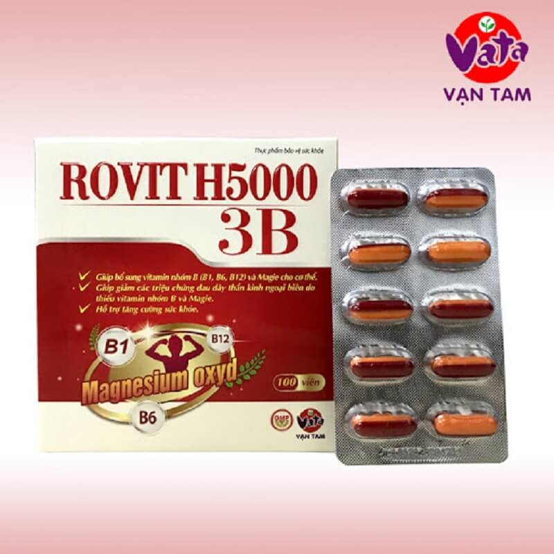 Thực phẩm bảo vệ sức khỏe ROVIT H5000 3B