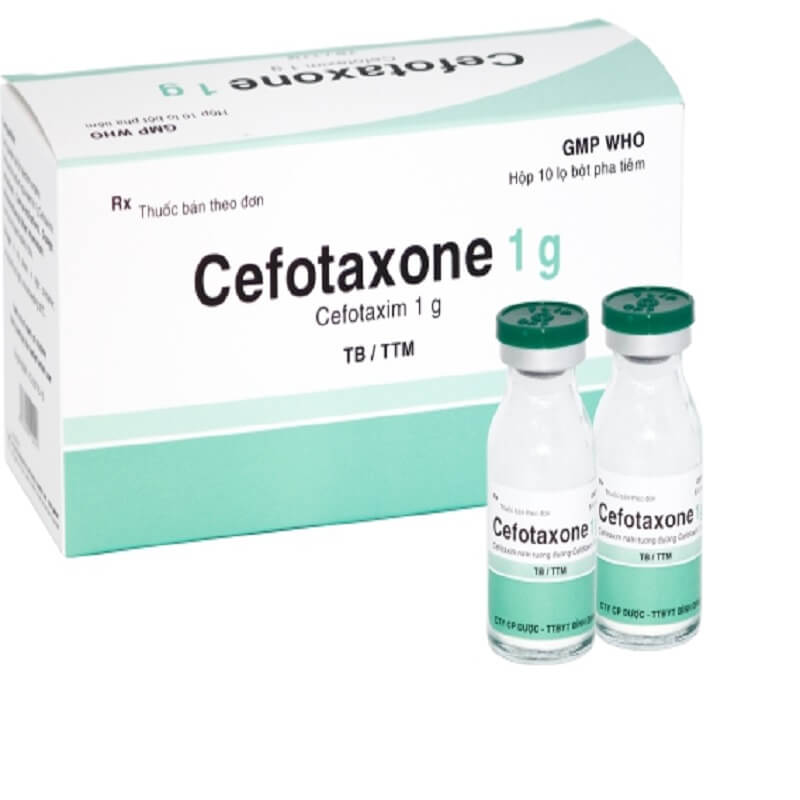 Cefotaxone 1 g - Điều trị bệnh nhiễm khuẩn nặng và nguy kịch